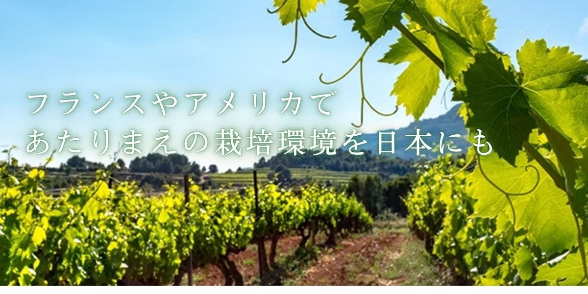 JVAとは - 一般社団法人 日本ワインブドウ栽培協会